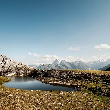 Stoanmandl Wohlfuehlappartements * Neustift im Stubaital